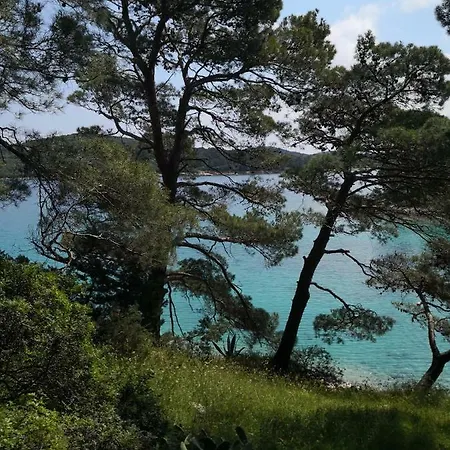Apartman Merula Mali Lošinj